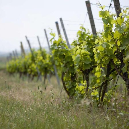 Weingut Schilling Hotel Seinsheim ภายนอก รูปภาพ